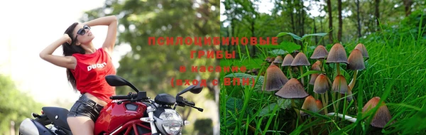 мескалин Арсеньев